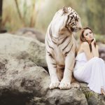 fortune tiger slot review rtp strategy ai