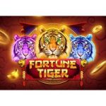 Fortune Tiger Slot Safe Play: Practical Guide for Safer Spins - Slot Reviews visual guide